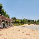 정자세천 이미지