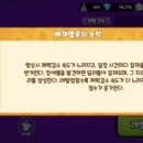 짝궁펫 네이버블로그
