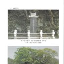 국역 金羅傳信錄 금라전신록