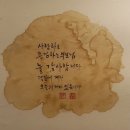 다님길커피