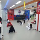 경희대 석사 제일 태권도장 이미지