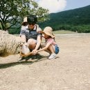 무등산양떼목장 이미지