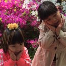 서부동공원 이미지