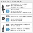 타냐 이미지