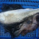 어심바다낚시터 이미지