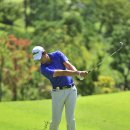 챔피언골프 이미지