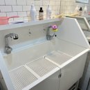 여주 다리원 애견독채팬션 이미지