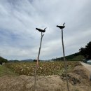 늠내길6코스 시흥종주길 이미지