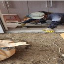 부곡1동경로당 이미지