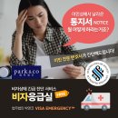 [호주 이민 Tip] 이민성에서 날아온 통지서(notice), 뭘 어떻게 하라는 건지 잘 알 수 없을 때... 이미지