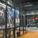 소나무 휘트니스 이미지