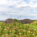 애월환해장성 이미지