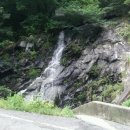 천태농장 이미지