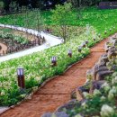 화순 남산공원 로컬힙 프로젝트 이미지