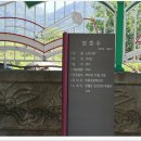 김삿갓면-41 이미지