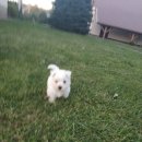 안경생각 이미지