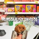 위드파트너스플러스 | 오리온 촉촉한 초코칩 : 요것도 유통기한이 길어서 비상식량으로 제격
