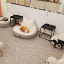 댕댕아리 이미지