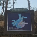 황금빛 노래연습장 | 남여주CC 라운딩 황금빛 필드와 반전의 빠른 그린, 가성비 끝판왕 후기