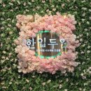 두잎김밥 - 화성시 동탄지성로 143 | 청주 가경동 맛집 한잎두잎에서 샤브샤브 샐러드바 무한리필 내돈내산 후기 💕