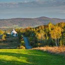 초록풍경 이미지