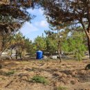 곰솔농장 이미지