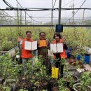 온양5동 남부로 이미지