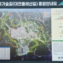 대전둘레산길(2구간) Daum카페