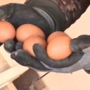 백전농장 이미지