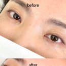 래쉬톡(lashtalk)