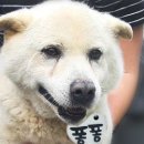 율하우리동물약국 이미지