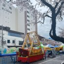 2026 벚꽃축제 진해 군항제 후기 (여좌천로망스다리/해군사관학교/경화역)