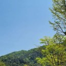 죠스글램핑 이미지