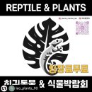 레오마켓 이미지