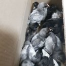 청계유통 이미지