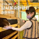 서서울승마클럽 | 남서울승마클럽 학생승마 프로그램 체험 후기