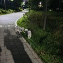 슈슈댕