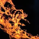 숨쉬는순두부 이미지