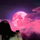 아이유 전시회 미디어아트 전시 &#34;순간&#34; 후기 꿀팁까지 ~ in 성수 더 서울라이티움