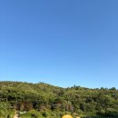농다리 | 진천 농다리 후기, 천년 돌다리 산책했지만 날벌레 때문에 결국 슬러쉬만 마시고 온 이유