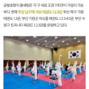 금빛 호랑이 태권도 이미지