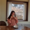 LENTO 이미지