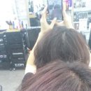 자르세헤어 이미지