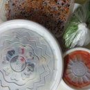 신림동 본가 백순대 이미지