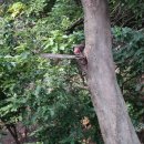 기민중학교 이미지