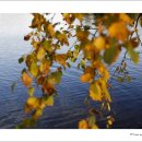 고원(주) 이미지