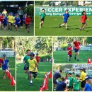 SCIPS-Years 1 &amp; 2 Cross Country 1,2 학년 크로스 컨트리 이미지