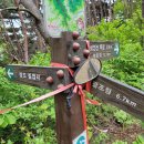 팔조령목장 이미지