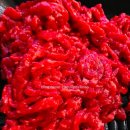 정인축산 이미지