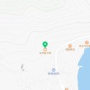 법인여수커피나무